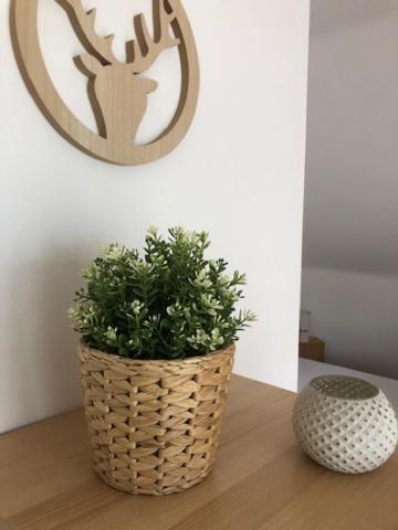 Fewo_Ortszeit Haintchen المظهر الخارجي الصورة